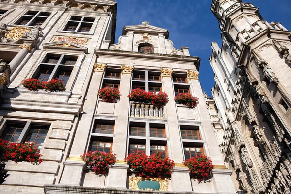 Facade of a medieval building in Brussels is decorated with flow — Stock Photo, Image