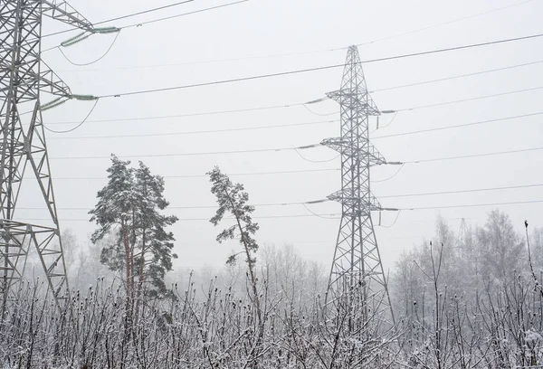Power lines in the snow
