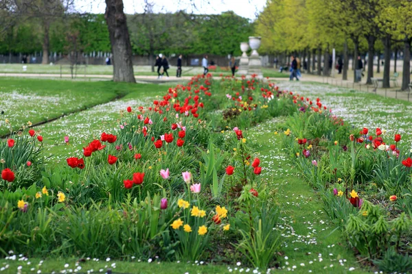 Flowers in a Paris Park