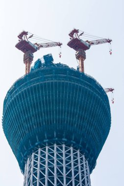 Tokyo Sky ağaç manzara