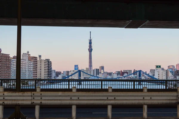 Tokyo Sky Tree landskap — Stockfoto