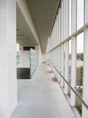 Japonya Tokyo cam Oda