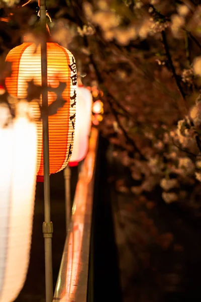 Cherry blossoms in Japan — Stock Photo, Image