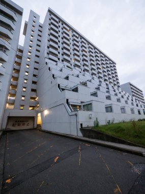 Japonya'da karmaşık konut