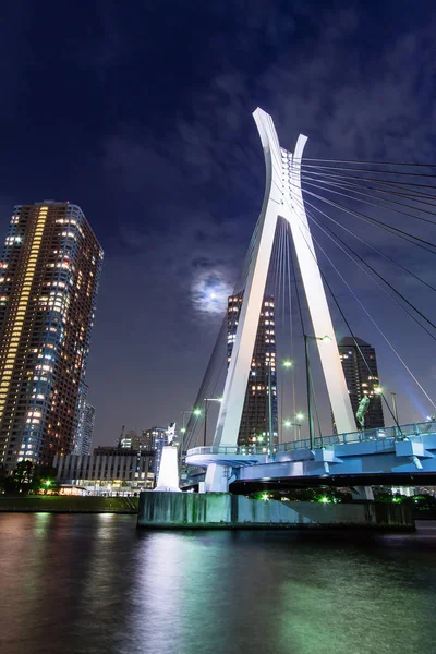 Bridge night view in Japan