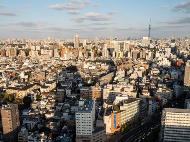 Gözlem odasında Japonya