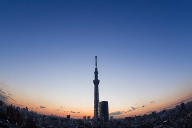 Japonya gece görünümü