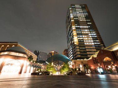 Japonya gece görünümü