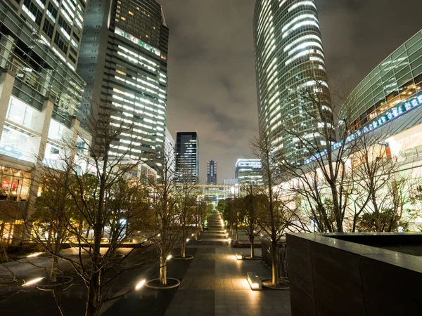 Japonya gece görünümü — Stok fotoğraf