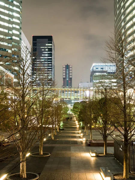 Ιαπωνία Night view — Φωτογραφία Αρχείου