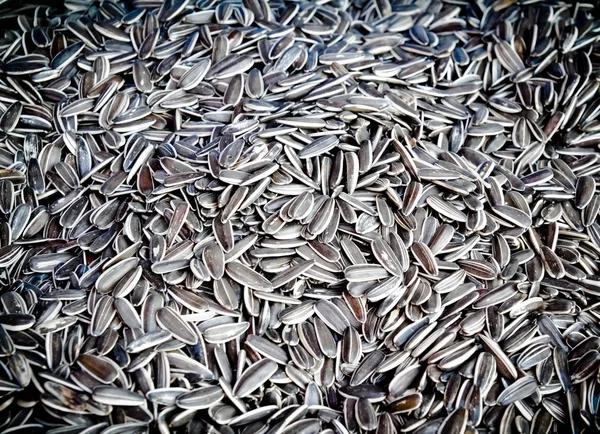 I semi di girasole secchi sono divisi in gruppi — Foto Stock