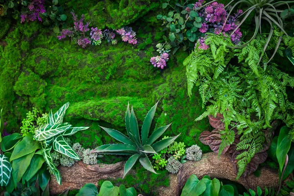 Verde gramado natural — Fotografia de Stock