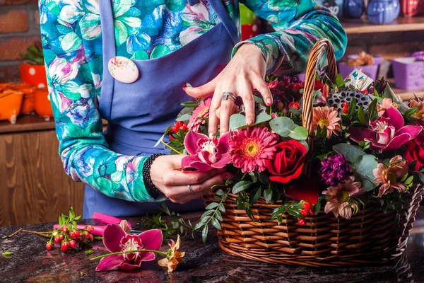 Chryzantema, lotosu, róża, storczyk, stokrotka — Zdjęcie stockowe