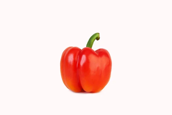 Stor röd paprika — Stockfoto