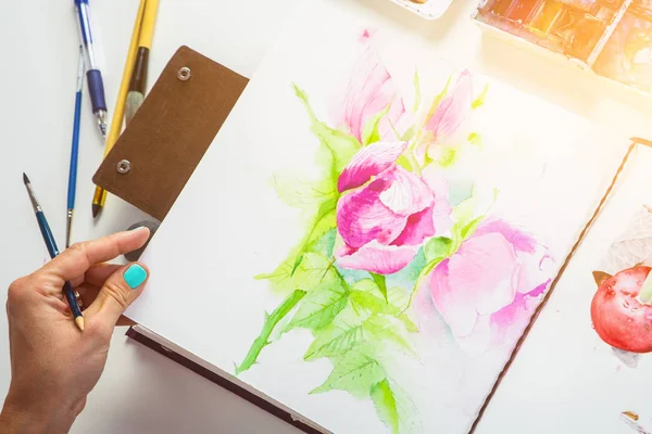 Drawing album with painted peonies — Stock Photo, Image