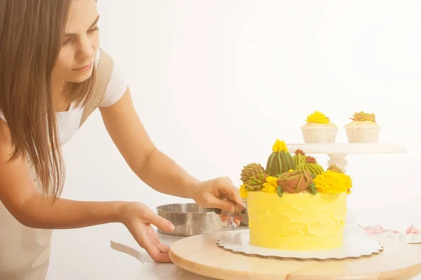 제과 인하 케이크 — 스톡 사진