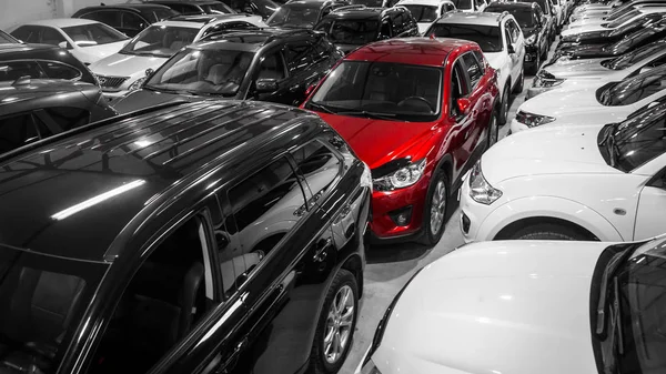 Novosibirsk, Russia - February 12, 2017: A number of different cars (pick-up trucks, crossovers, jeeps, sedans) in car showroom are on sal — Stock Image Novosibirsk Russia February 2017 Number Different Cars Pick Trucks Crossovers Stock Picture