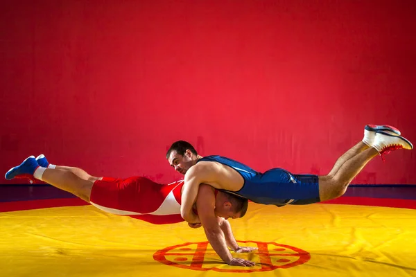 青と赤のタイツをレスリングで つの若い男性は スポーツ ホールをレスリング レスリングのウォーム アップ — ストック写真