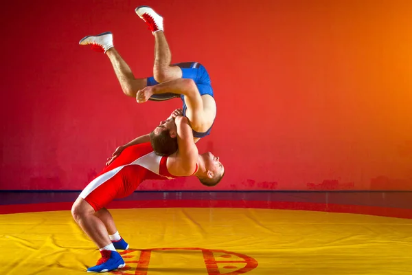 Mavi Kırmızı Güreş Taytı Giymiş Iki Genç Güreşiyor Spor Salonundaki — Stok fotoğraf