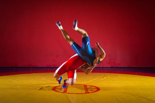 青と赤のタイツをレスリングで つの強い力士は Wrestlng とジムでカーペットをレスリング黄色のレスリング スープレックスを作るします 格闘をやって若い男 — ストック写真