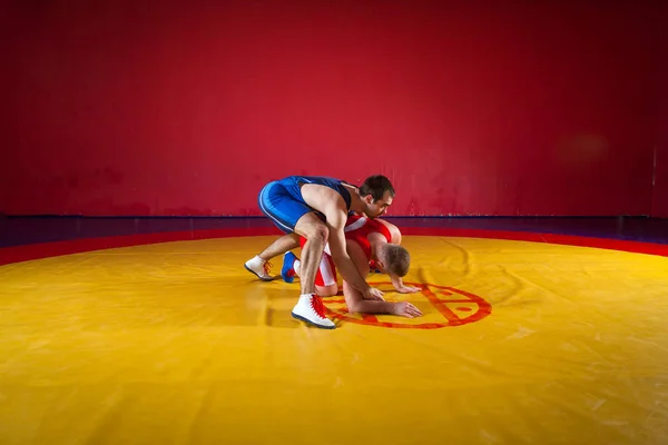 青と赤のタイツをレスリングで つの強い力士が Wrestlng 黄色のカーペットをジムでレスリングに取り組む — ストック写真