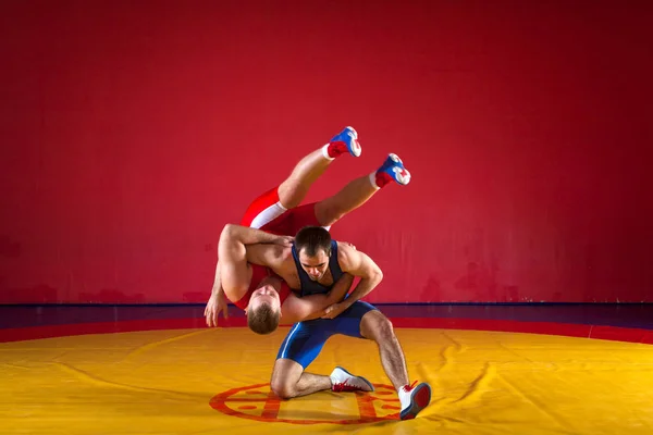 Two Young Men Blue Red Wrestling Tights Wrestlng Making Suplex — Stock Photo, Image