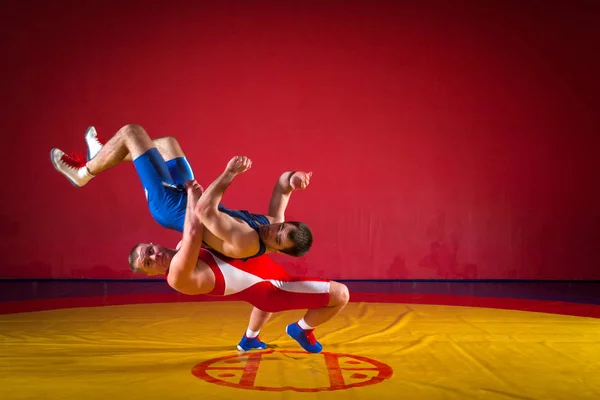 Két Erős Birkózók Kék Piros Harisnya Birkózás Wrestlng Így Egy — Stock Fotó