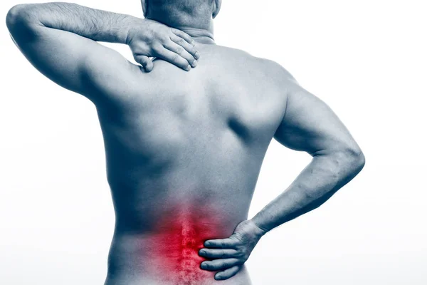 Pain Spine Young Bald Man Sports Physique Holds Sick Back — Stock Photo, Image