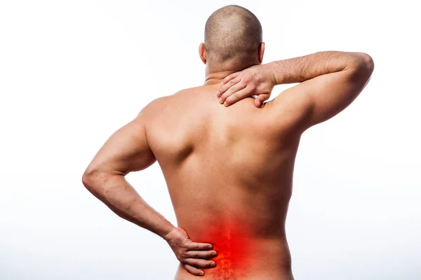 Pain in the spine.  Young bald man sports physique holds a sick back on a white isolated background. Fracture of spine