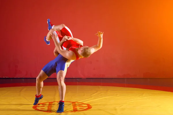 青と赤のレスリングのタイツを着た2人の強力な力士が格闘し ジムで黄色のレスリングカーペットの上に腰を投げています 若い男がブドウを — ストック写真