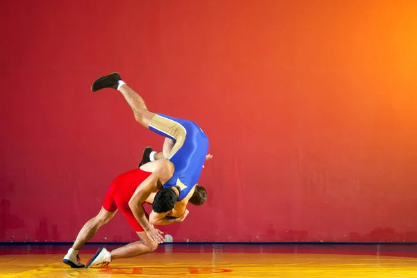 Dos luchadores fuertes — Foto de Stock