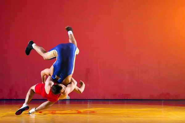 Dos luchadores fuertes — Foto de Stock