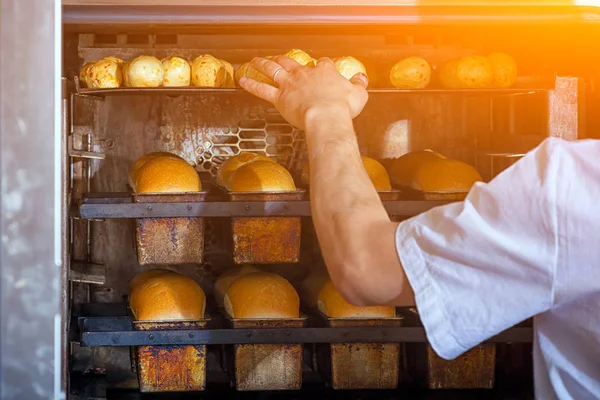 Baker hornea pan —  Fotos de Stock