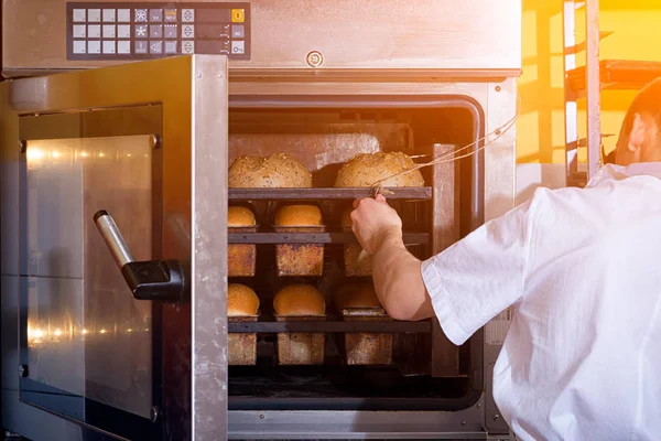 Baker hornea pan —  Fotos de Stock