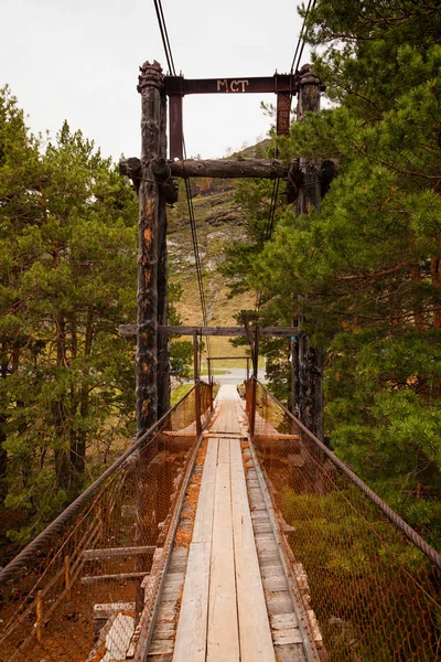 Close-up of an old wooden bridge across a mountain river, on the back of coniferous green trees and a mountain on a warm summer day