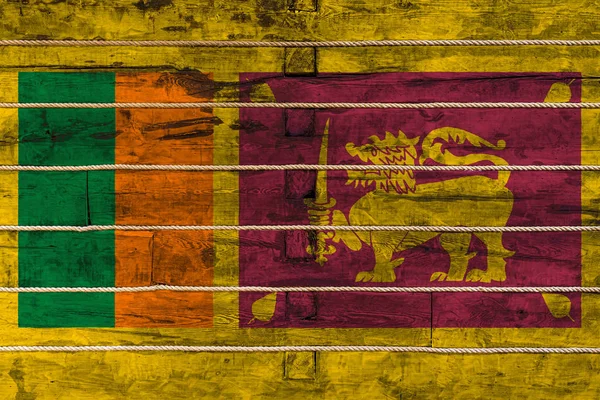 Εθνική Σημαία Της Σρι Λάνκα Ξύλινο Φόντο Τοίχου Έννοια Της — Φωτογραφία Αρχείου