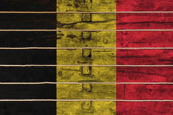 Flaga narodowa na drewnianym tle muru. — Zdjęcie stockowe