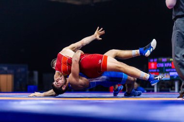 Novosibirsk, Rusya ~ 19 Ocak 2020: Rus Greko-Roman