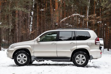 Novosibirsk, Rusya ~ 10 Şubat 2020: Toyota Arazi Suçlusu 