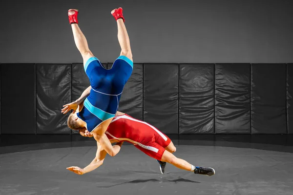 파란색과 빨간색의 레슬링 경기를 벌이는 선수가 체육관에서 레슬링 카펫에서 레슬링을 — 스톡 사진