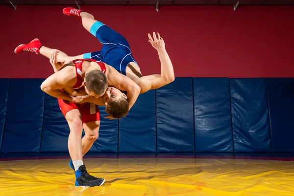 Mavi Kırmızı Güreş Taytı Giymiş Iki Güçlü Güreşçi Spor Salonundaki — Stok fotoğraf