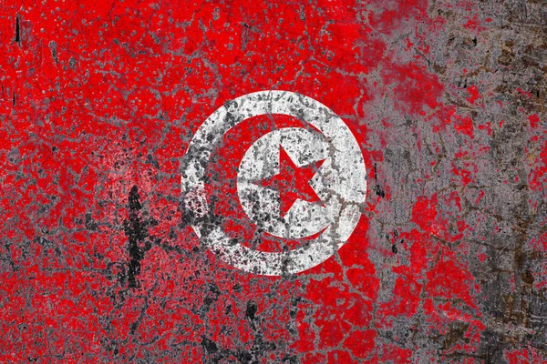 旧墙背景下的突尼斯国旗 民族自豪感的概念和国家的象征 — 图库照片