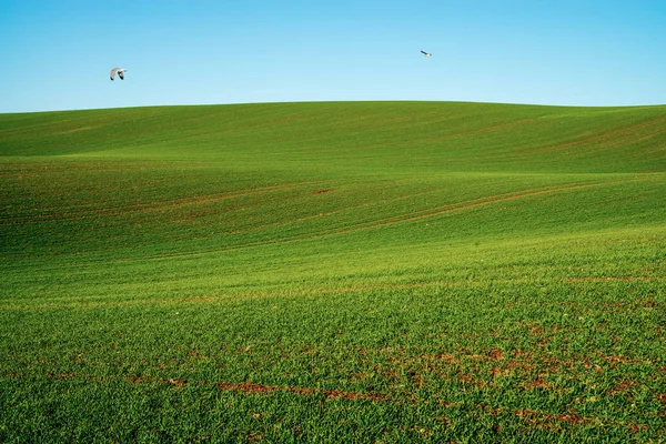 Danimarka kış manzarası