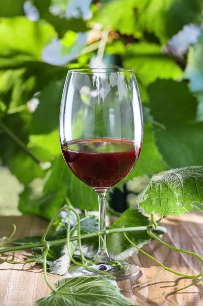 Red wine glass — Stock Photo, Image