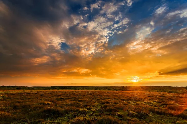 Campo Verão Cheio Grama Céu Por Sol Acima Bela Paisagem — Fotografia de Stock