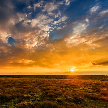 Yaz alan çim ve günbatımı gökyüzü yukarıdaki dolu. Güzel günbatımı manzara. 