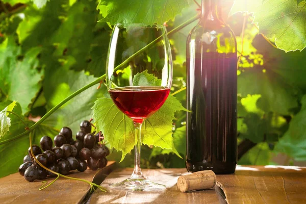 Şarap Kadehi Grapevine Bir Tablo Ile Lezzetli Alkol Içki — Stok fotoğraf
