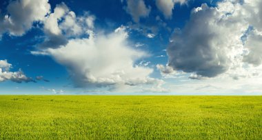Yaz peyzaj alanı ve bulutlu mavi gökyüzü yukarıdaki ile.