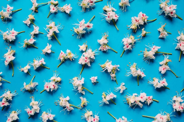 Kastanj blommor mönster — Stockfoto