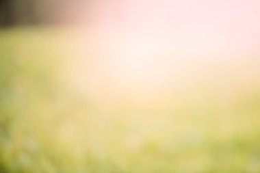 Yeşil soyut bokeh arkaplanı